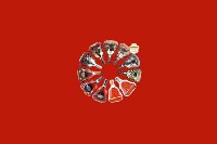 廊坊广阳区回收红酒